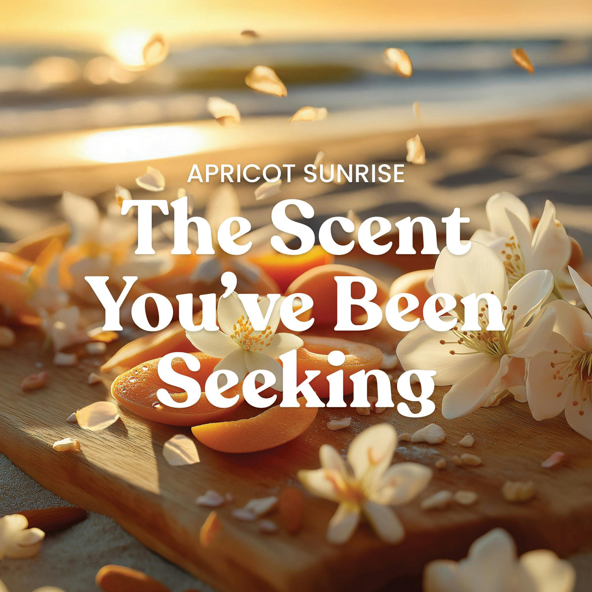 Apricot Sunrise ScentPlug Refill